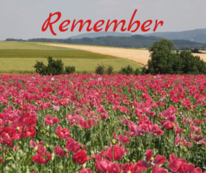 remember-by-debby-gies