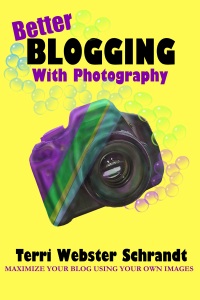 Better Blogging with Photography