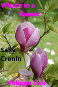 What's in a Name Vol. II by Sally Cronin