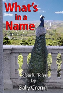 What's in a Name Vol. 1 by Sally Cronin