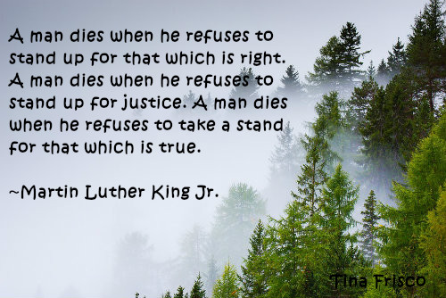 Martin Luther King, Jr. Quote